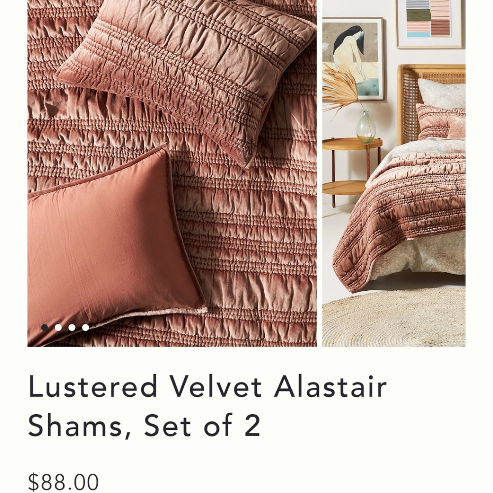 Lustered Velvet Alastair Pillow Shams (2)